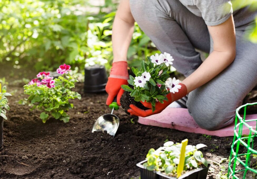Top tips for gardening with sciatica